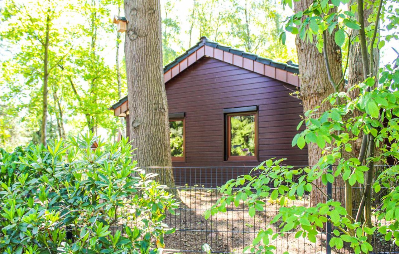 Pet Friendly Home In Haren With Sauna ダンケルン エクステリア 写真